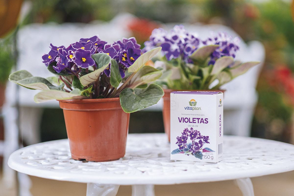 Fertilizante Violetas (NPK 09-06-09) - 150g 