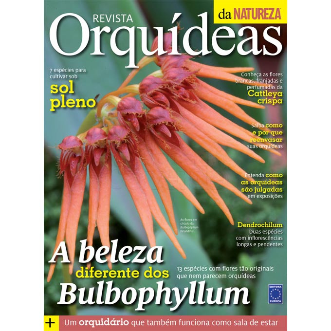 Revista Orquídeas da Natureza - Edição 4