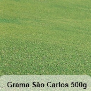 Grama São Carlos Folha Larga - 500g