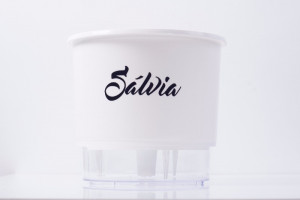 Branco (T301) - Sálvia