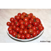 Tomate Cereja Vermelho