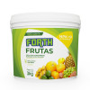 Forth Frutas Fertilizante - NPK 12-05-15 + 9 Nutrientes - 3 kg (Fertilizantes)