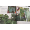 Guia de Plantas para uso Paisagístico: Jardim à sombra e Vertical - páginas