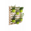 Treliça - Jardim vertical com vasos autoirrigáveis raiz