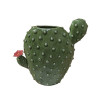 Vaso Bunny Ears Cactus em Cerâmica
