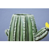 Vaso Hedge Cactus