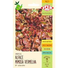 Alface Mimosa Vermelha (Salad Bowl) (Ref 041)