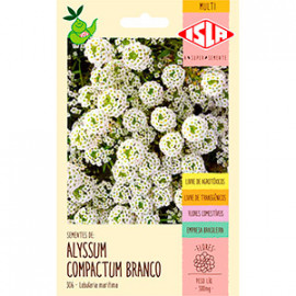 Flor-de-mel (Alyssum Branco) 0,3g (Ref 306)