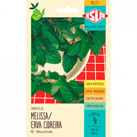 Erva-cidreira - Melissa (Ref 492)