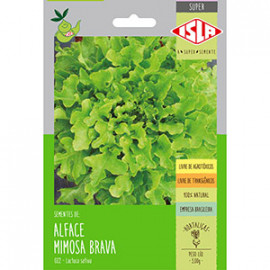 Alface Brava - Mimosa 3 G (Ref 022)