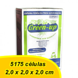 Espuma Fenólica - Green Up (2,0 x 2,0 x 2,0 cm)