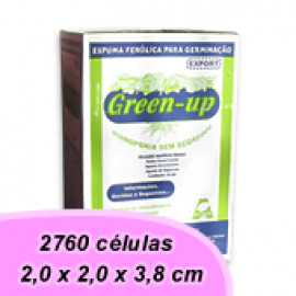 Espuma Fenólica - Green Up (2,0 x 2,0 x 3,8 cm)