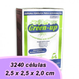 Espuma Fenólica - Green Up (2,5 x 2,5 x 2,0 cm)