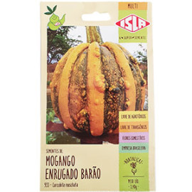 Mogango Enrugado Barão (Ref 933)