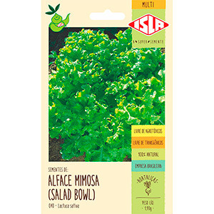 Alface Mimosa (Salad Bowl) (Ref 040)