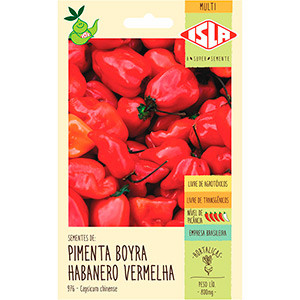 Pimenta Boyra Habanero Vermelha (Ref 976)