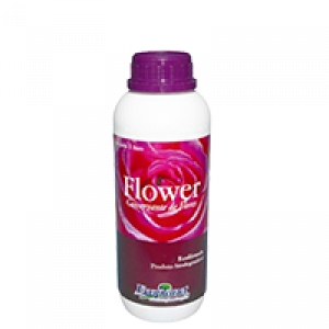 Flower - Conservante de Flores - 1 Litro