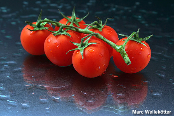 Tomate Cereja Lycopersicon esculentum