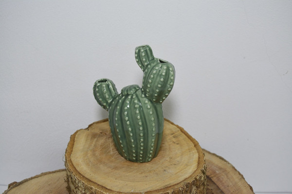 Cactus Berrel Decorativo