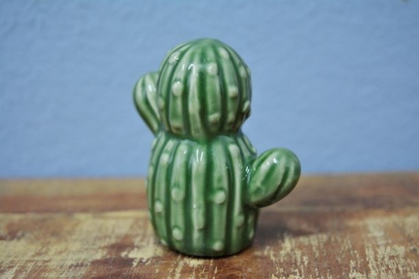 Mini Cactus Berrel 