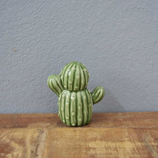 Mini Cactus Berrel 