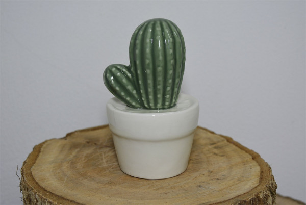 Pringlei Cactus