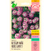 Flor-de-mel Violeta (Alyssum) 0,1g (Ref 308)