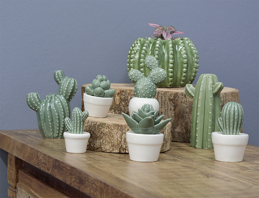 Cactus decorativos em ceramica